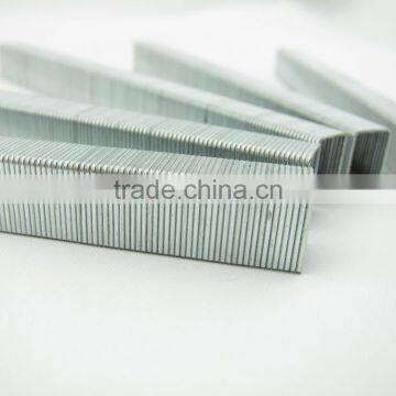 Staple Nail 1006F