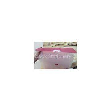 Translucent PP File Folder / plastic letter size documents case