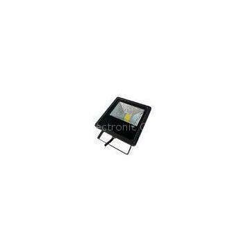 Commercial 20 Watt Outdoor LED FloodLight High Brightness with BridgeLux COB Chip