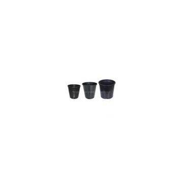flower pot