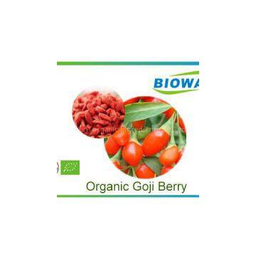 Organic Goji Berry