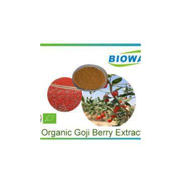 Organic Goji Berry Extract Powder