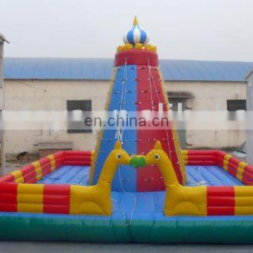 2013Hot sale rock climbing wall