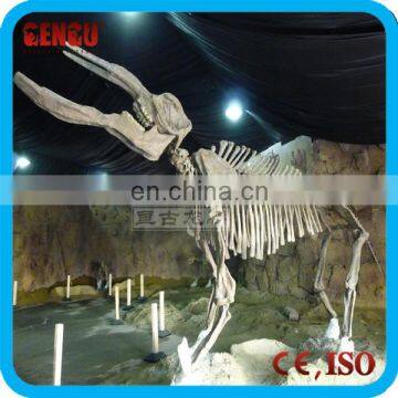 Artificial Mechanical Life Size Museum Animal Skulls For Sale