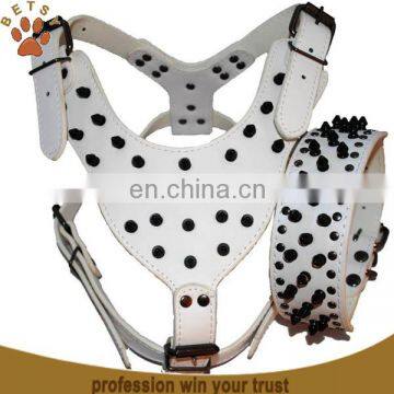 Leather Spiked Dog Harness
