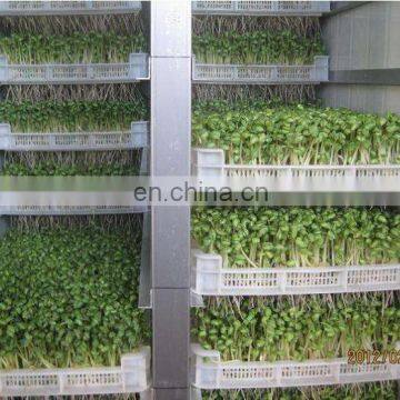 Automatic Bean Sprout Growing Machine/Bean Sprout Growing Machine For Sale