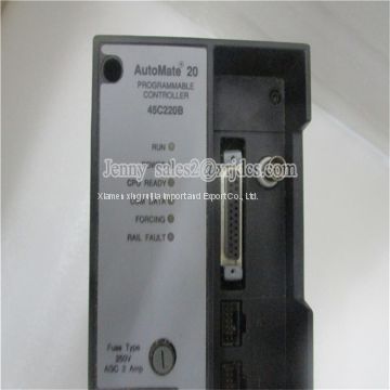 Hot Sale New In Stock RELIANCE 45C220B PLC DCS MODULE