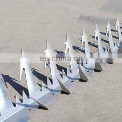 Hot Dipped Galvanized Anti Wall Climbing Spikes Wall Spikes Razor Barbed Wire Fence Sale photo-4