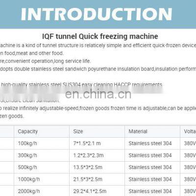 HOT SALE IQF Tunnel Quick Freezer for Sale photo-5