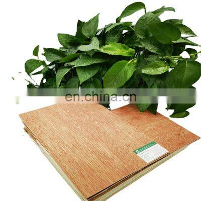 E1 glue 3mm 5mm 9mm Cheap Price Poplar Hardwood Core Bintangor Okoume Plywood Sheet