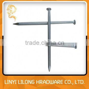 Galvanized Grooved Concrete Nail With High Quality photo-2