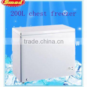 ice cream solid door chiller 200L