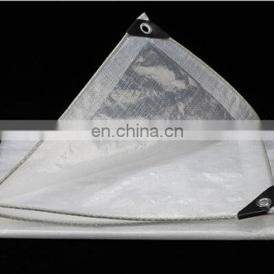 Anti UV Transparent PE Tarpaulin for Cherry Tree Protection Cover photo-3