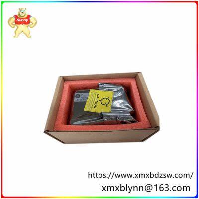 IS220PDIIH1B 336A5026ADP1 Módulo de entrada de termopar