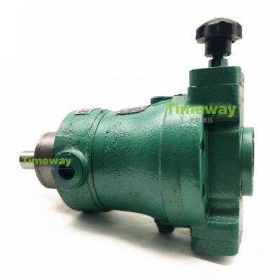 Hydraulic Piston Pump 10SCY14-1B 10SCY14-1D Manual Variable Piston Pumps High Pressure Pumps for Cutting Machine 31.5Mpa photo-5