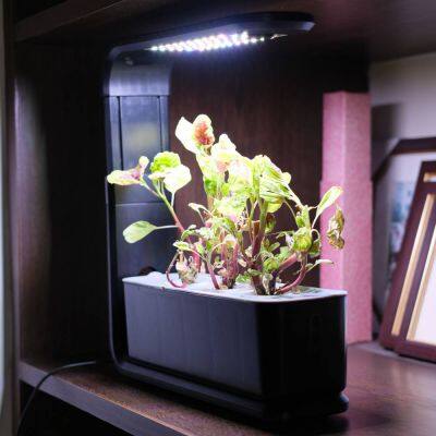 Smart Gardening Hydroponic Vegetable-growing Gadget, Smart Planter for Indoor Soilless Cultivation of Flowers and Vegetables, Smart Small Flower Pot photo-2