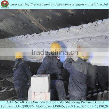 Ceramic Fiber Module for Pit Furnace photo-6