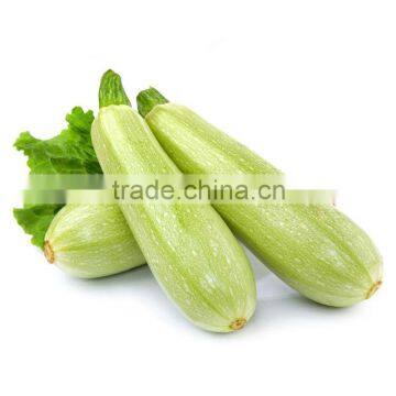 export high quality frozen marrow squashes with low price