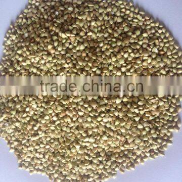 Buckwheat kernels origin Inner Mongolia