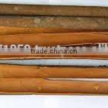 CINNAMON STICK photo-2