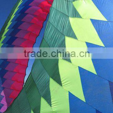 10m ring kite