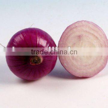 Red Onion