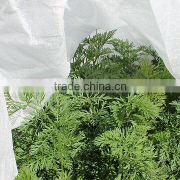 Weed Control Ground Cover Non woven Fabric UV Stabilised