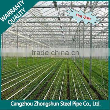 Cold Rolled Steel Pipe /Galvanced Steel Pipe for Building Greenhouse