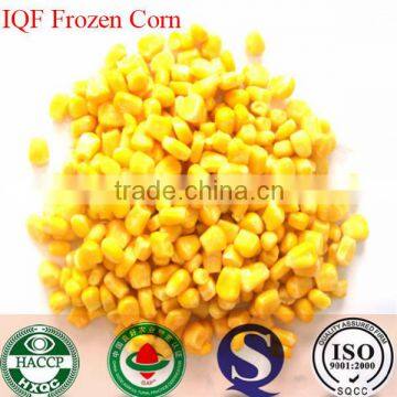 2016 new crop China Frozen type IQF Sweet Corn kernel frozen corn