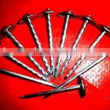 Electo Galvanized Smooth Umbrella Head Roofing Nails photo-5