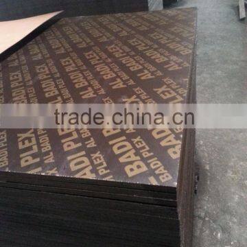 failm faced plywood 12mm/12-ply boards