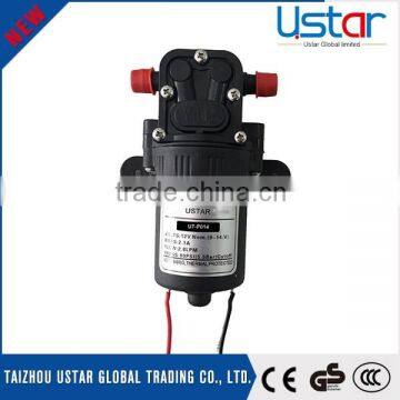 Professional manufacturer 2.8L/min design sprayer 12v electric pump