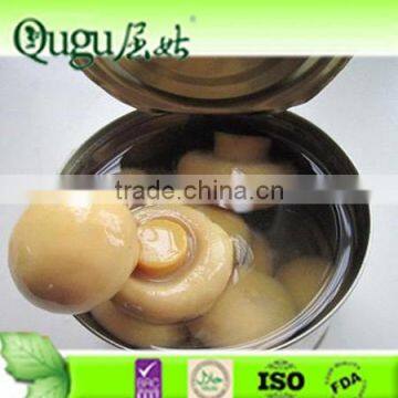 2015 canned champignon mushroom in brine, hight quality mushroom