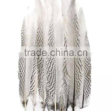 ZPDECOR Retail 45cm-50cm Handwork High Quality Natural Silver Pheasant Tail Feathers