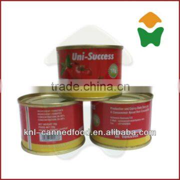 Tomato Paste Factory tomato paste price In Sachet and tin 70gx50tins