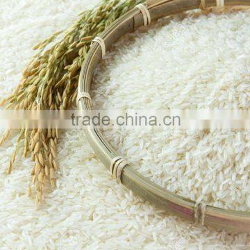 JASMINE WHITE RICE 5% BROKEN - THE BEST RICE - CHEAPEST PRICE - CURRENT RICE (EMAIL: SALES5@VINARICE.VN SKYPE: SONAINTER5)