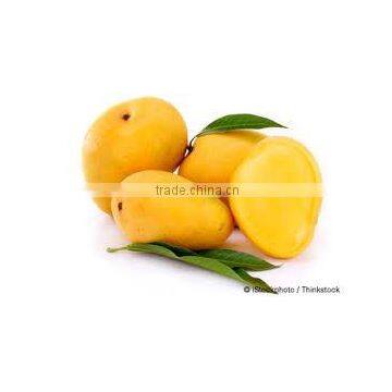 Fresh Mango