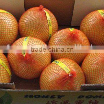 chinese pomelo fruit