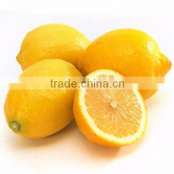 fresh lemon fruit grown in China