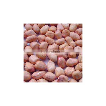 supply high quality shandong peanut cracker