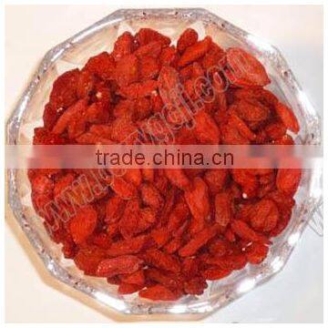 Goji fruit/Ningxia goji berry