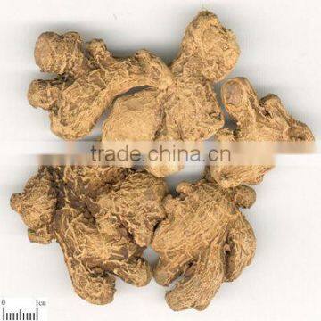 African Hot Selling Dry Ginger Whole