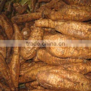 High Purity Kudzu Root Extract Powder