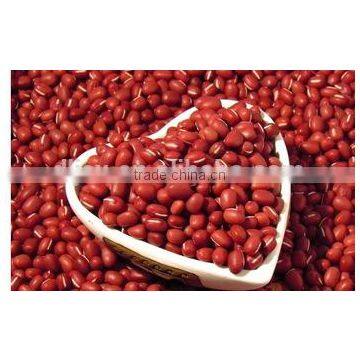 JSX selected red ball beans cheap price for beans and beans