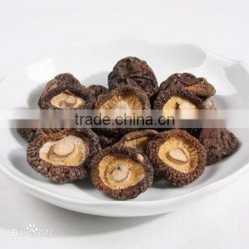 2015 dried mushroom/Dried ebony mushroom/Dried dark mushroom/Dried schwarze mushroom