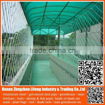 100% Virgin HDPE Anti Bird Netting / pe Protection Net / Plastic Net With uv