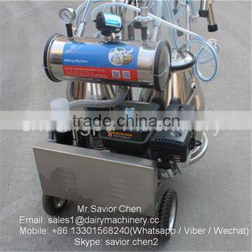 Gasoline Power Single Cow Portable Milking Machine For Sale photo-6