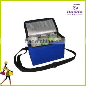 non-woven bulk cooler bag