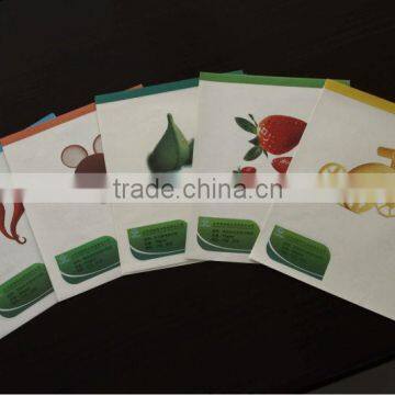 A4 Copy Paper Made From Tree Free Fiber and Unbleached photo-4