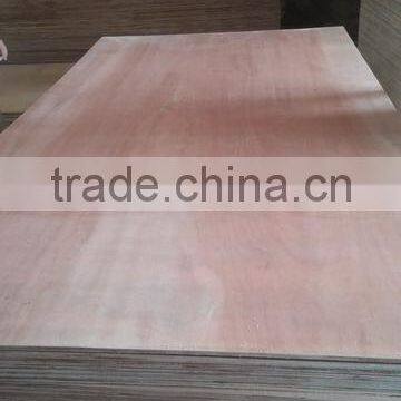 Packing Grade Laminated 18mm Eucalyptus Plywood photo-5